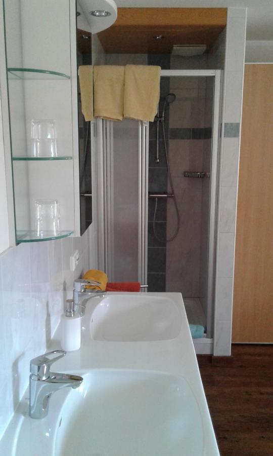 Appartment Steger Klara Mittersill Dış mekan fotoğraf