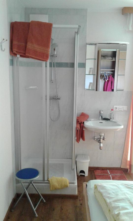 Appartment Steger Klara Mittersill Dış mekan fotoğraf