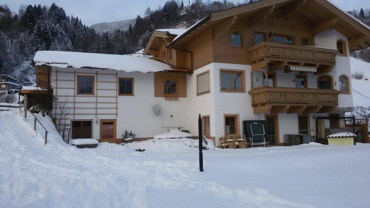 Appartment Steger Klara Mittersill Dış mekan fotoğraf